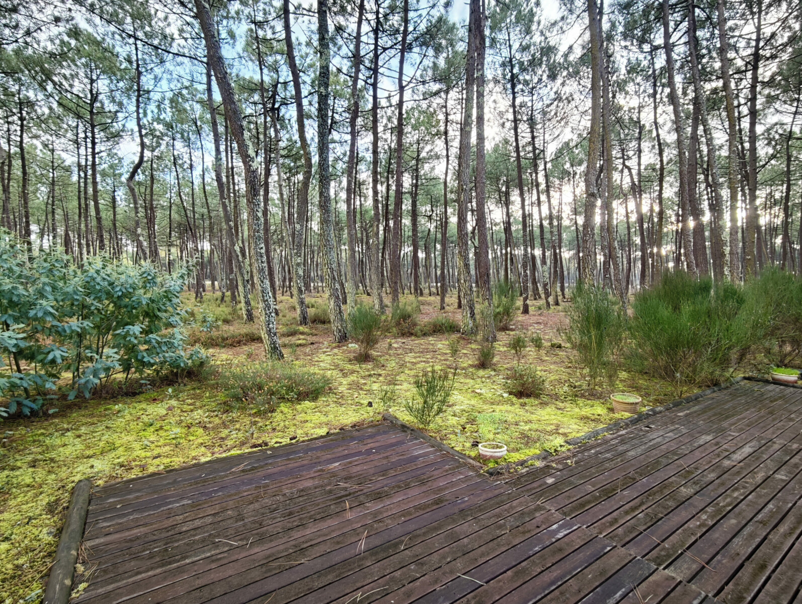 Euronatimmo - 5 Nouvelle Calédonie - emplacement